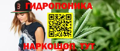 тгк Кулебаки