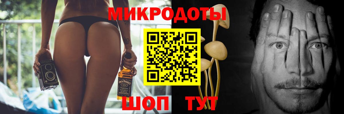 Псилоцибиновые грибы Psilocybe Хабаровск